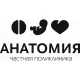 Анатомия — Минск